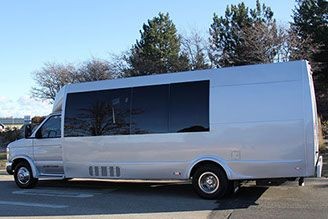 Silver luxury van parked on a sunny road with trees in the background.